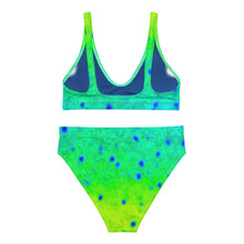 Load image into Gallery viewer, Mahi Recycled high-waisted bikini XS - 3XL